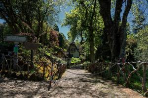 Afbeelding uit fotogalerij van Casa Da Avo Clementina in Funchal