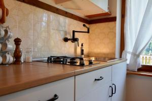 una cucina con un lavello e un piano di lavoro di Casa vacanze Danoi Dolomiti a Canale dʼAgordo