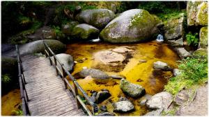 Φυσικό τοπίο κοντά σε αυτή η παραθεριστική κατοικία +62 φωτογραφίες