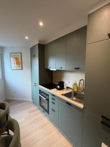 a kitchen with gray cabinets and a sink at Charmant appartement aux portes de Strasbourg in Oberhausbergen