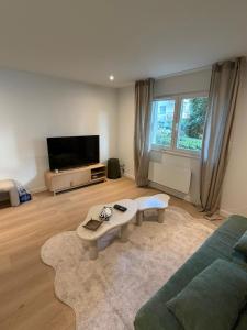 a living room with a couch and a tv at Charmant appartement aux portes de Strasbourg in Oberhausbergen