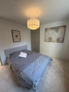a bedroom with a bed and a chandelier at Charmant appartement aux portes de Strasbourg in Oberhausbergen +3 photos