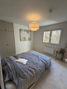 a bedroom with a bed and a chandelier at Charmant appartement aux portes de Strasbourg in Oberhausbergen