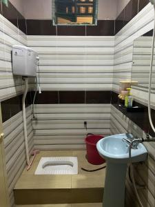 a bathroom with a sink and a toilet in it at D'Huda Homestay in Sungai Petani