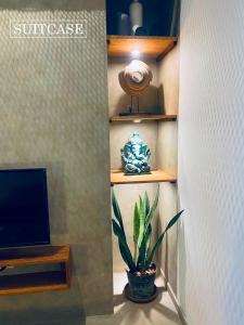 Suitcase في أمبالانغودا: نبات في وعاء موضوع بجانب جهاز تلفزيون