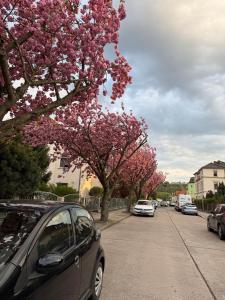 Okolí prázdninového domu