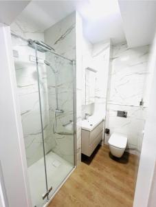 a bathroom with a glass shower and a toilet at Pieńki i Towarzystwo 6 niezależnych apartamentów 3 min od Suntago in Wręcza