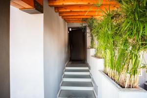 una scala con piante in vaso e una porta nera di Duo LUXURY SUITES a Verona