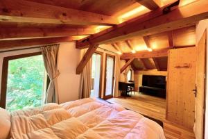 Televiisor ja/või meelelahutuskeskus majutusasutuses Cozy chalet in Combloux near the slopes +11 fotot