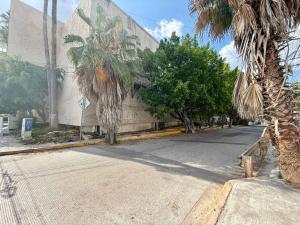 图斯特拉古铁雷斯Habitacion privada in Residencial Campestre的棕榈树建筑前的一条空街道