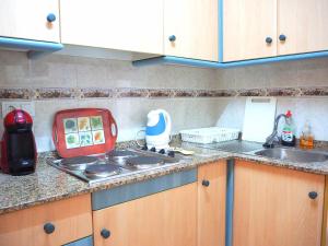 Kuchnia lub aneks kuchenny w obiekcie Espanhouse Diego apartment