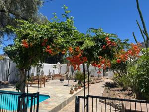 Bazén v ubytování Far Far Away Guesthouse nebo v jeho okolí