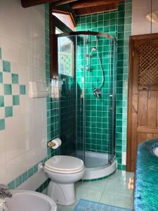 奥尔比亚Romantic Suite Apt 21的绿色瓷砖浴室设有卫生间和淋浴。 更多9张照片