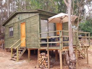 a green house with an umbrella and a tree at Cabañas Tinaja y Sauna Laguna Verde Valparaiso in Valparaíso