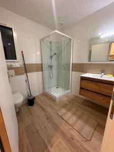 une salle de bain avec douche et lavabo dans l'établissement Refuge des voyageurs - studio neuf - Ancrage indépendant Rez de jardin, à Plouédern 8 autres photos