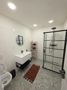 Un baño con lavabo, ducha e inodoro. en Apartmány v centru Olomouce, en Olomouc