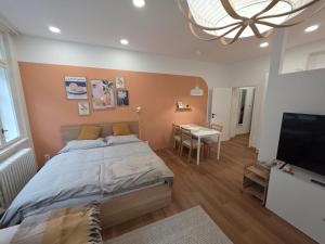 Un dormitorio con una cama grande y un televisor de pantalla plana. en Apartmány v centru Olomouce, en Olomouc