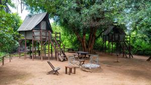 Κήπος έξω από το Pafuri Accommodation Rivercamp