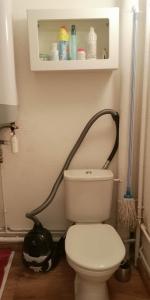 a bathroom with a toilet with a vacuum at Foux d'Allos, studio de 27m2 en centre-ville, plein sud avec terrasse in La Foux d'Allos +16 photos
