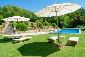 une cour avec deux parasols et une piscine dans l'établissement Can Serola, à Sales del Llierca