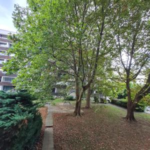 eine Baumgruppe vor einem Gebäude in der Unterkunft Einladend Graz in Graz