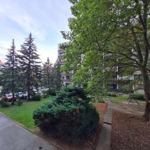 ein Busch mitten in einem Park mit einem Gebäude in der Unterkunft Einladend Graz in Graz