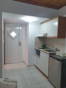 Η κουζίνα ή μικρή κουζίνα στο Νέηλυς +28 φωτογραφίες