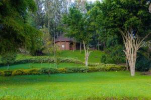 Fotografie z fotogalerie ubytování Ruhondo Beach Resort v Ruhengeri