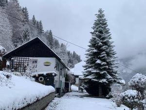 a house with a snow covered tree in front of it at Haus St Peter , op 5 auto minuten van een geweldig skigebied in Radenthein