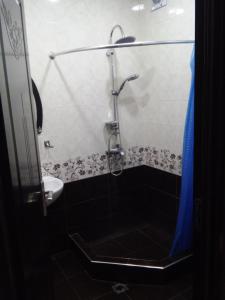 a bathroom with a shower with a sink and a toilet at Mari Apartment in Batumi +26 photos