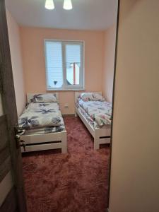 Ένα ή περισσότερα κρεβάτια σε δωμάτιο στο 13 Hostel +6 φωτογραφίες