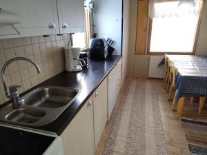 Kuchyň nebo kuchyňský kout v ubytování Cottage Jaatilanranta by Kemi River in Rovaniemi