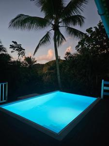 a blue swimming pool with a palm tree in the background at KANOUAN in Deshaies