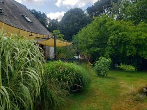 a garden with tall grass and a yellow building at Avel Glaz - Chambres d'hôtes pour randonneurs et cyclistes in Morlaix +25 photos