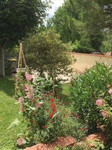 Fotografie z fotogalerie ubytování La Maison d'Alice v destinaci Mas-Grenier