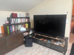 TV a/nebo společenská místnost v ubytování Les collines de chandieu