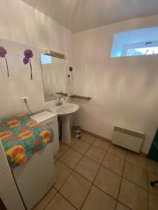 La salle de bains est pourvue d'un lavabo et d'un miroir. dans l'établissement Gîte du hameau de Labat, à Beauregard