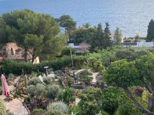 un giardino con molte piante e alberi di Rifugio Storico sul Mare ad Agay - Saint Raphael