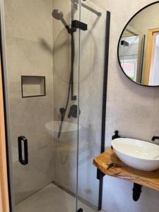 a bathroom with a shower with a sink and a mirror at Apartmani Gagi in Vir +38 photos