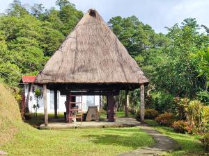 a small hut with a thatched roof at Hiwang Native House Inn & Viewdeck in Banaue