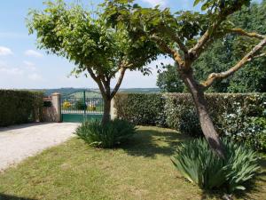 a garden with two trees and plants next to a hedge at Gîte Communal "Ecole" in Montain