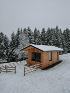 Ferienhaus "Moosgrün" - Tiny House Urlaub v zimě