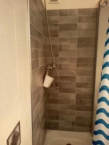 a bathroom with a shower with a toilet at Studio lumineux et cosy avec vue montagne 7è étage in Superdevoluy +35 photos