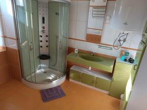 La petite salle de bains est pourvue d'une douche et d'un lavabo. dans l'établissement Szilvia Panzió Gyomaendrőd, à Gyomaendrőd 81 autres photos