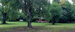 a cabin in the middle of a field with trees at Cabaña Paihuen in Villa General Belgrano +9 photos