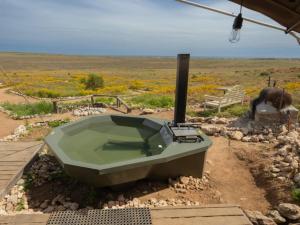 Naturlandskabet i nærheden af lodgen