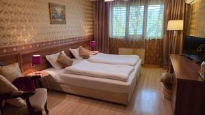 TV a/nebo společenská místnost v ubytování Hotel Rio