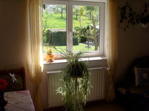 une fenêtre avec une plante en pot devant dans l'établissement Ferienwohnung Mit Blick Zur Wallfahrtskirche, à Ebensfeld 14 autres photos