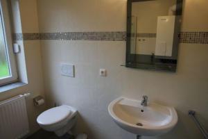 une salle de bain avec toilettes, lavabo et miroir dans l'établissement Ferienhaus Mit Atemberaubendem Blick Auf Den See, à Wiefelstede