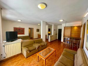 a living room with a couch and a tv at 4-Bedroom chalet for Ski and Summer in Kfardebian